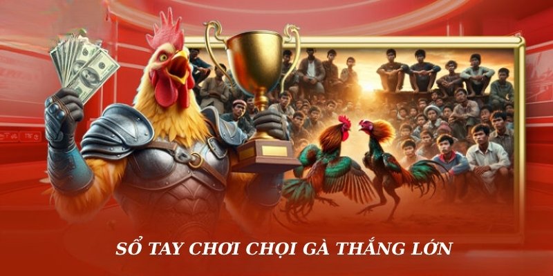 Sổ tay chơi chọi gà BK8 thắng lớn